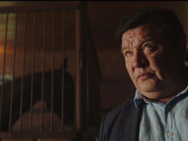 Команда мечты (2)