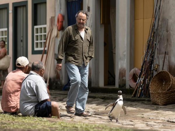 Мой пингвин (3)