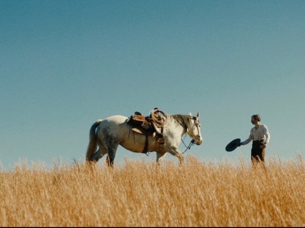 Старый Генри (2)