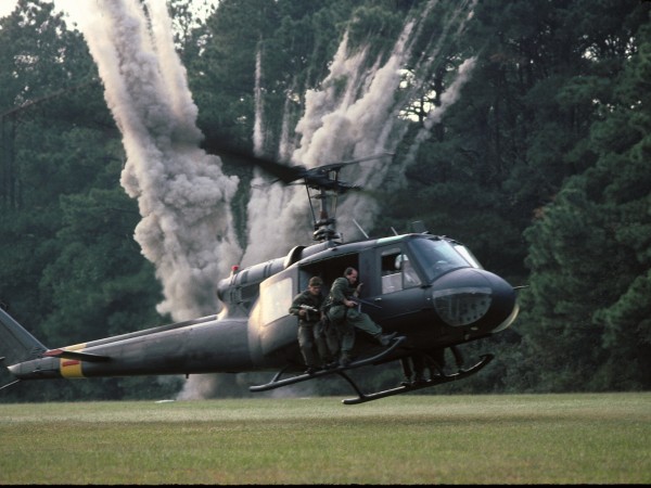 Морские котики (3)