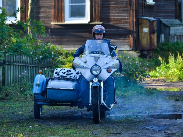 Карп отмороженный (5)