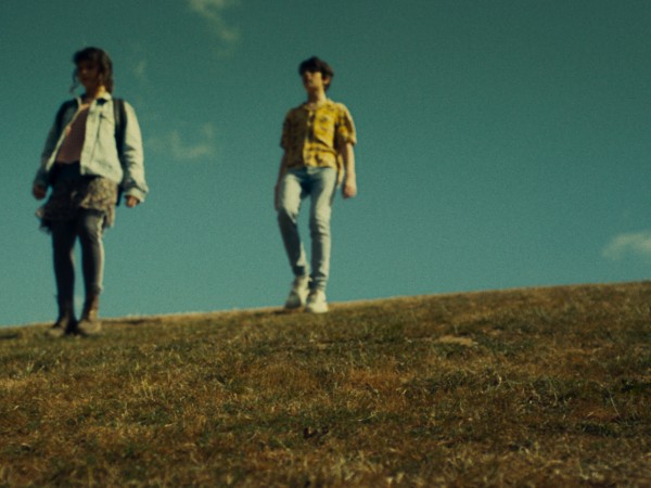 Король-львенок (2)