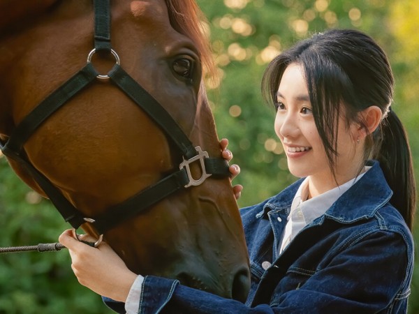 Кунг-Фу жеребец (3)