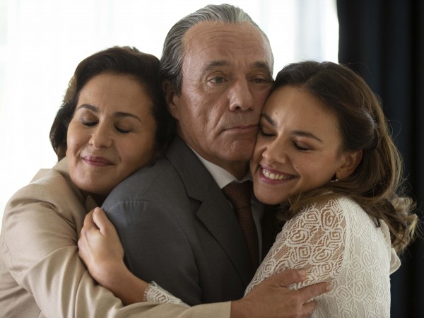 Свадьбы не будет! (5)