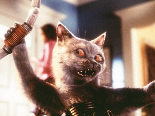 Кошки против собак (2)