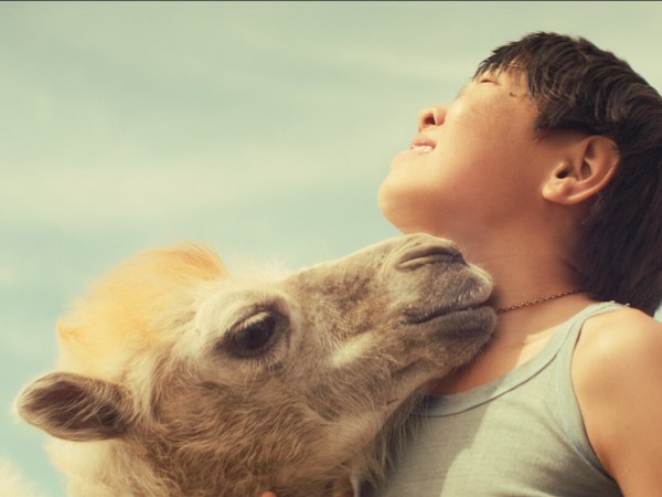 Небесный верблюд