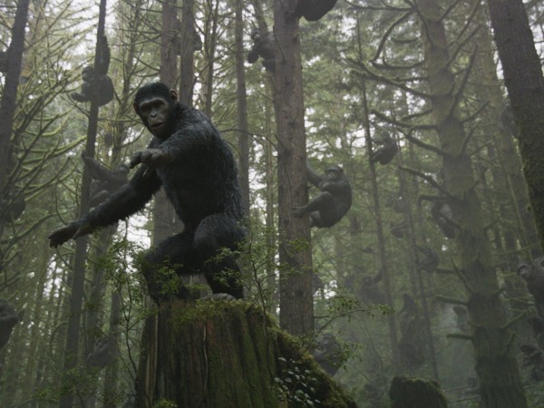 Планета обезьян: Революция (3)