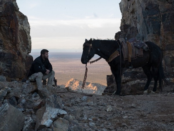 Кавалерия (4)