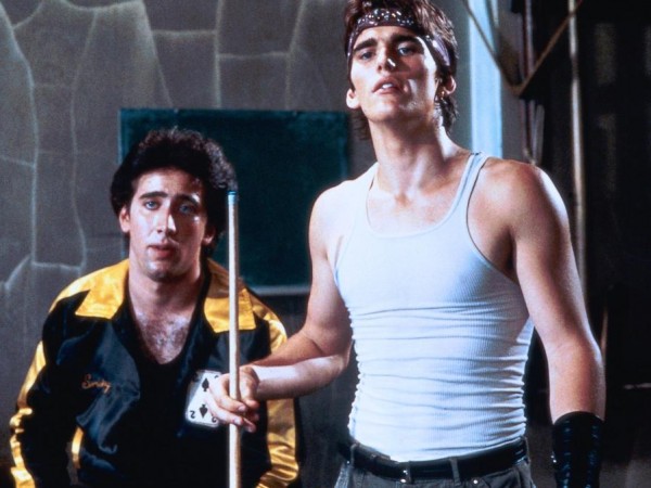 Бойцовая рыбка (5)