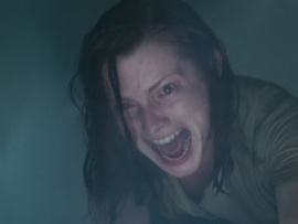 Другие ипостаси (4)