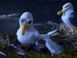 Птичий дозор (3)