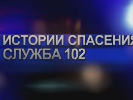 Истории спасения