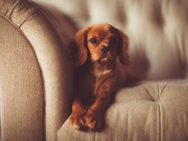 Добро пожаловать!