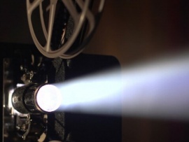 Женщины Трампа