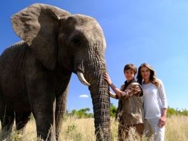 Против природы. Большое путешествие слона