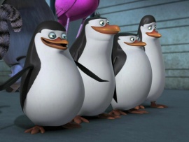 Пингвины из Мадагаскара
