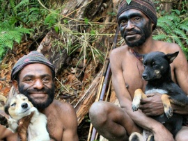 Собаки, изменившие мир