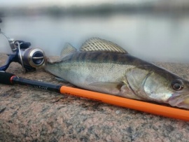 Рыболовы окраинного моря