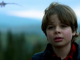 Назад к динозаврам