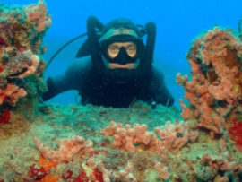 Мир морских глубин