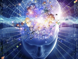 Люди и метамиры