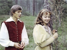 Ослиная шкура