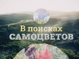 В поисках самоцветов
