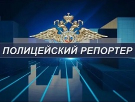 Полицейский репортер