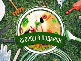 Огород в подарок