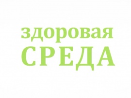 Здоровая среда