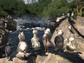 Птичий дозор (2)