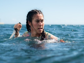 Челюсти. Кровавый риф