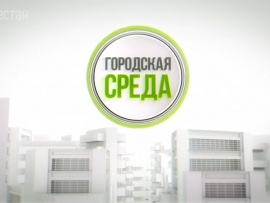Городская среда