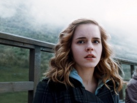 Гарри Поттер и Принц-полукровка