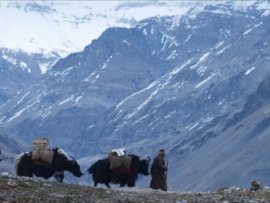 Долина теней (5)