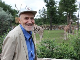 В мире животных