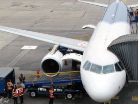 Служба безопасности аэропорта 3: Перу