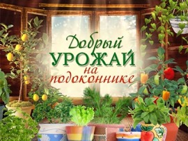 Добрый урожай на подоконнике