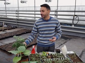 Ваше хозяйство