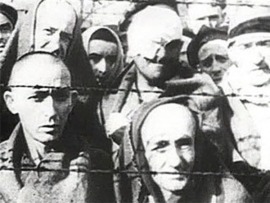 Их звали травники